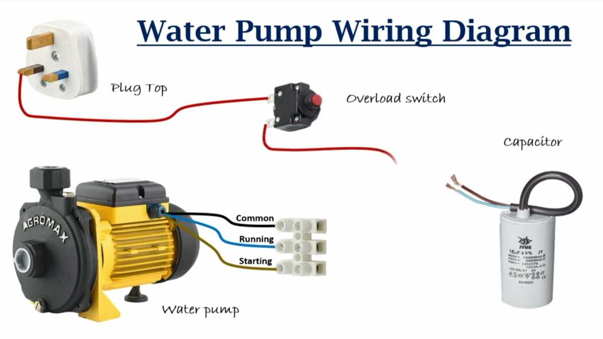 1 2 hp motor wiring diagram