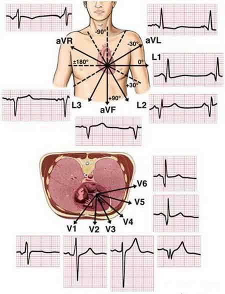 12 lead ecg circuit diagram
