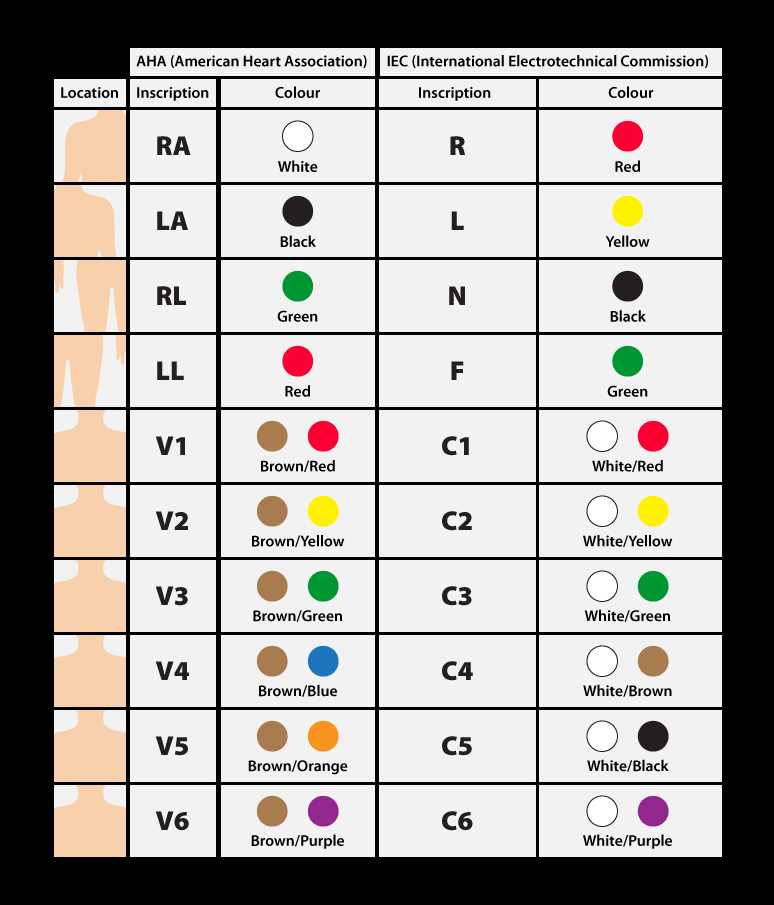 12 lead ecg circuit diagram