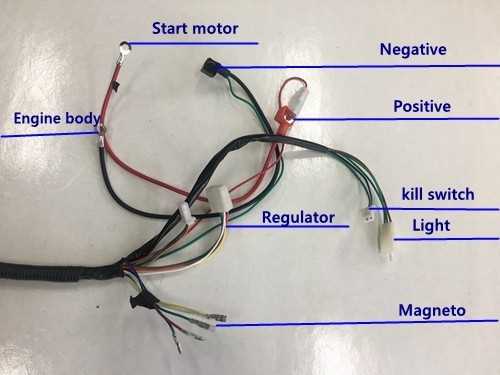 125 pit bike wiring diagram
