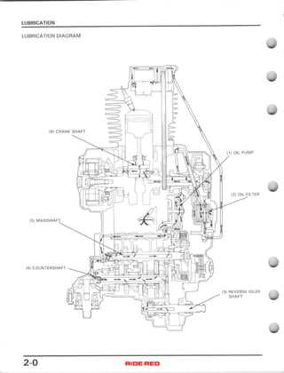 1987 honda trx250x wiring diagram