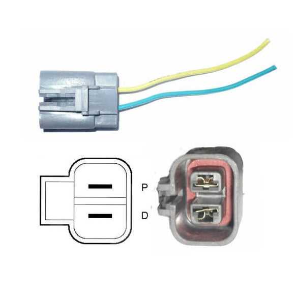 2 prong plug wiring diagram