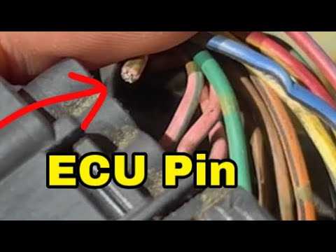 2002 honda cbr 600 f4i wiring diagram