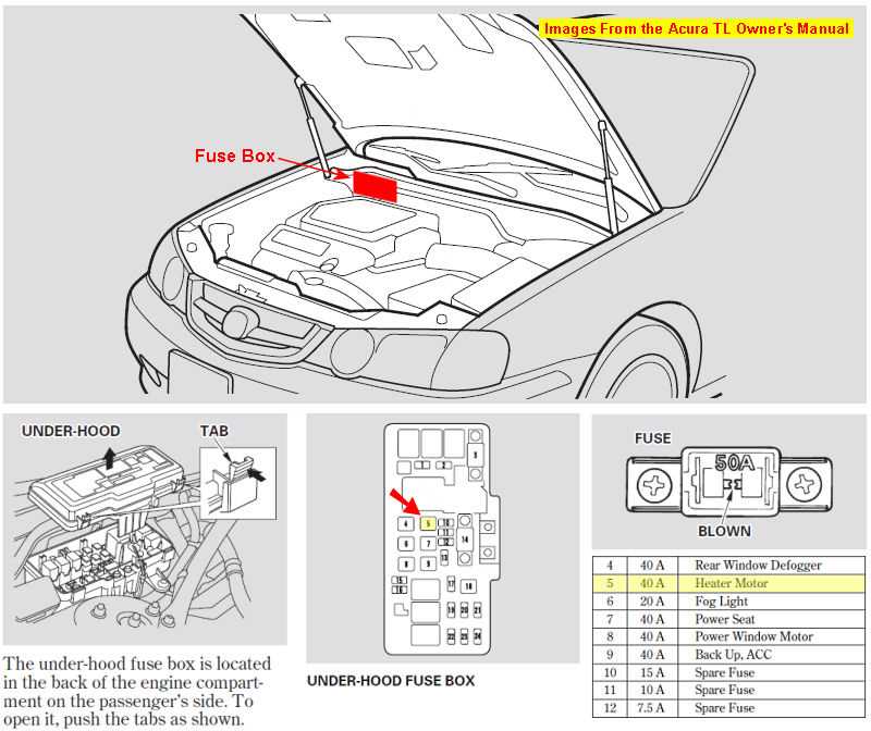 2005 acura tsx radio wiring diagram