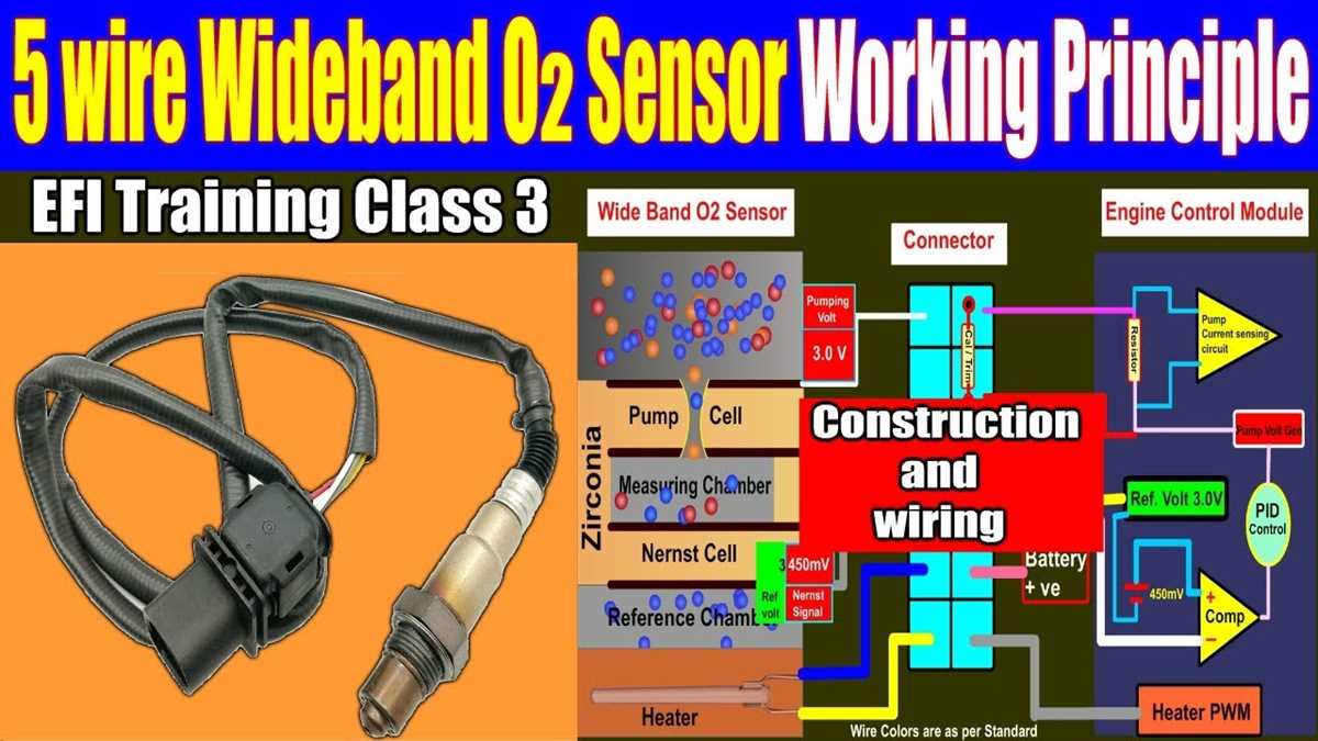 5 wire oxygen sensor wiring diagram