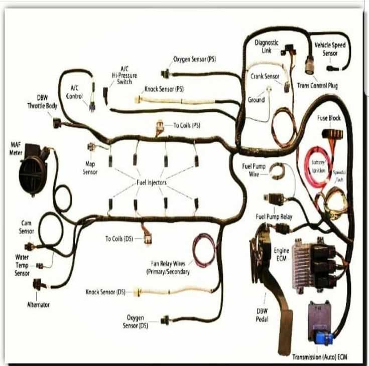 5.3 ls wiring harness diagram 5.3 ls wiring harness diagram