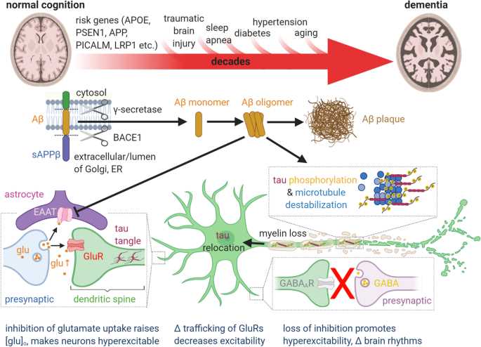 alzheimers disease pathophysiology schematic diagram