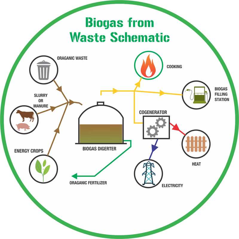 biogas schematic diagram