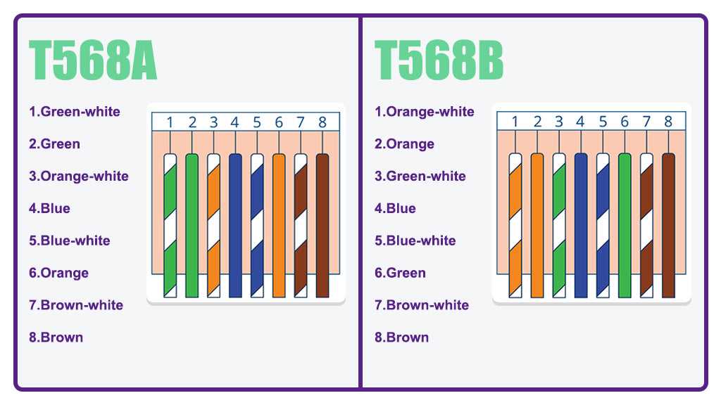 cat 6 jack wiring diagram