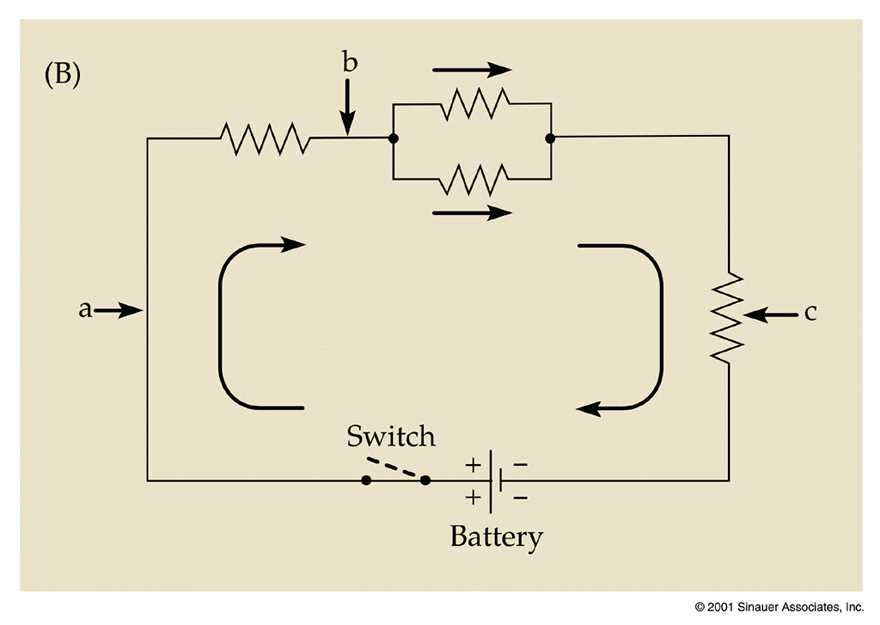 circuit diagram model