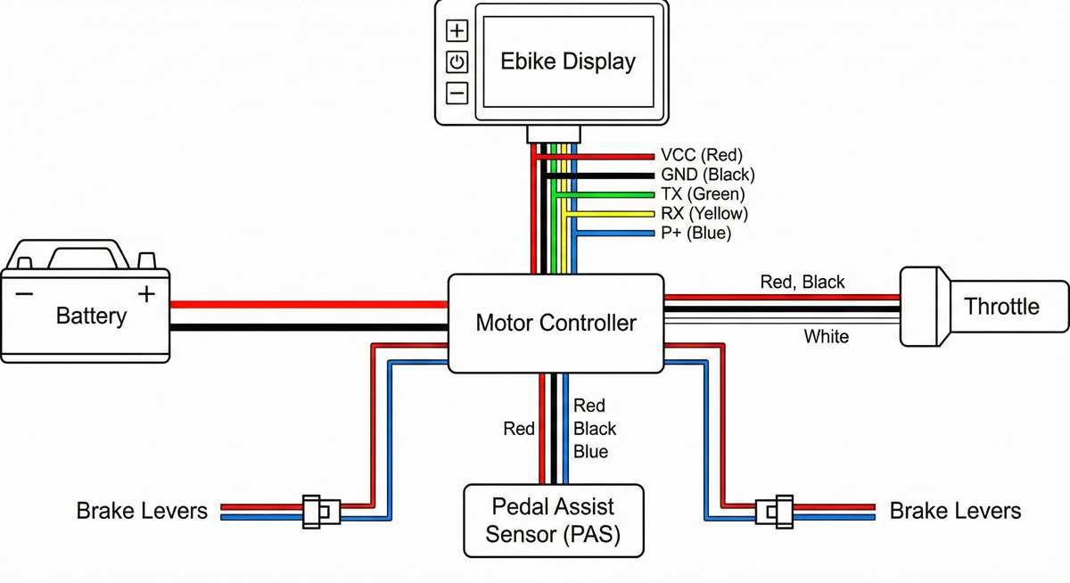 ebike ignition switch wiring diagram