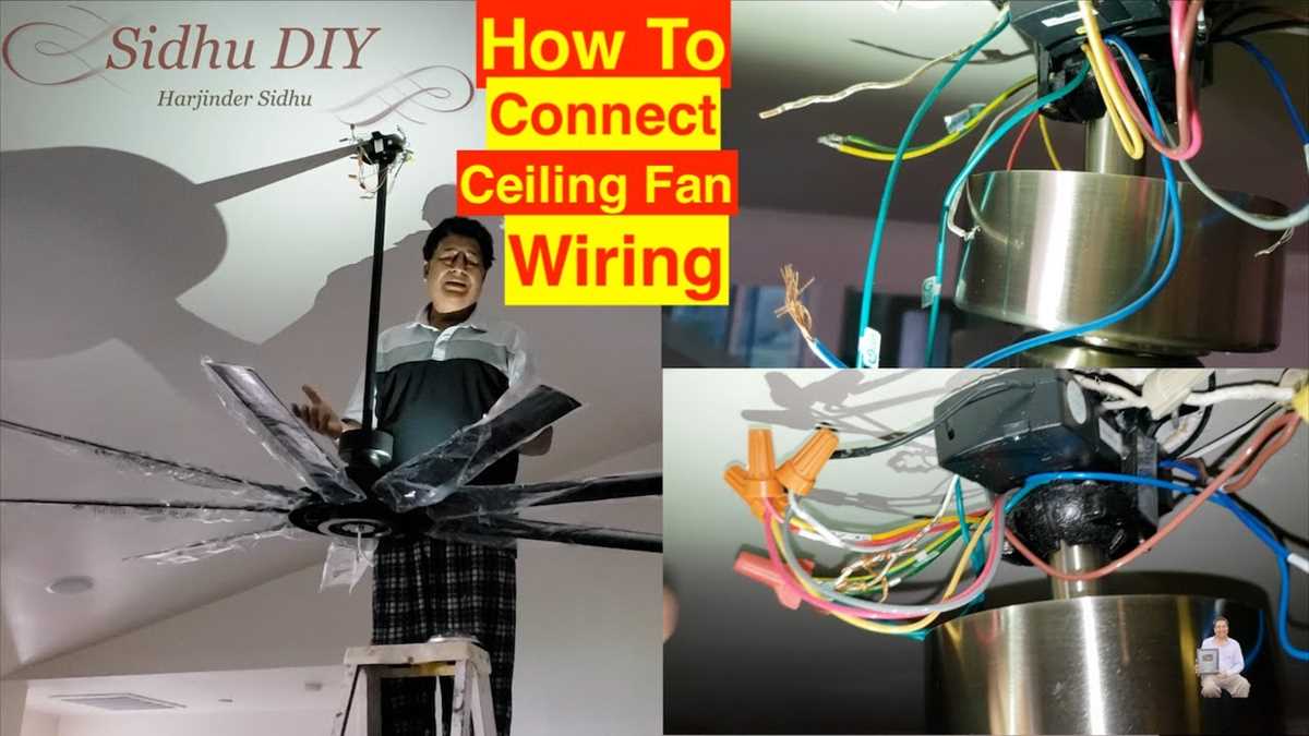 fanimation wiring diagram