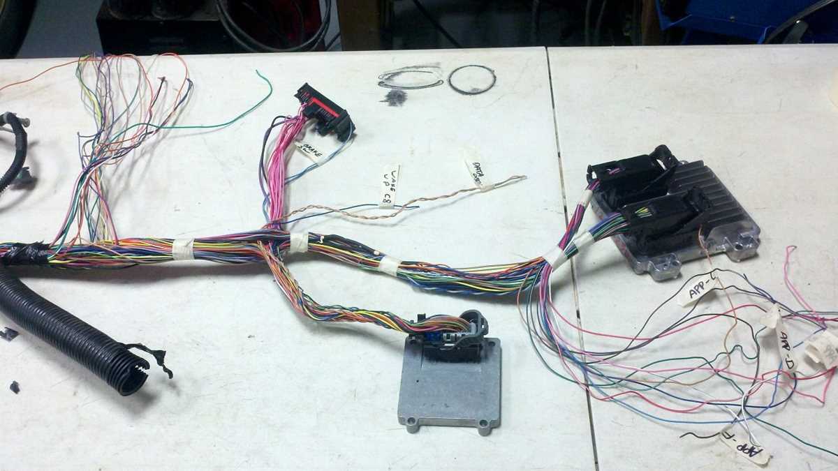 gen 4 ls wiring harness diagram