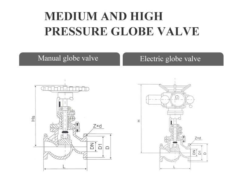 globe valve schematic diagram