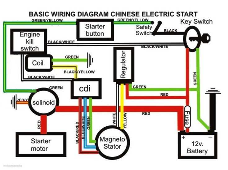 golden companion scooter wiring diagram