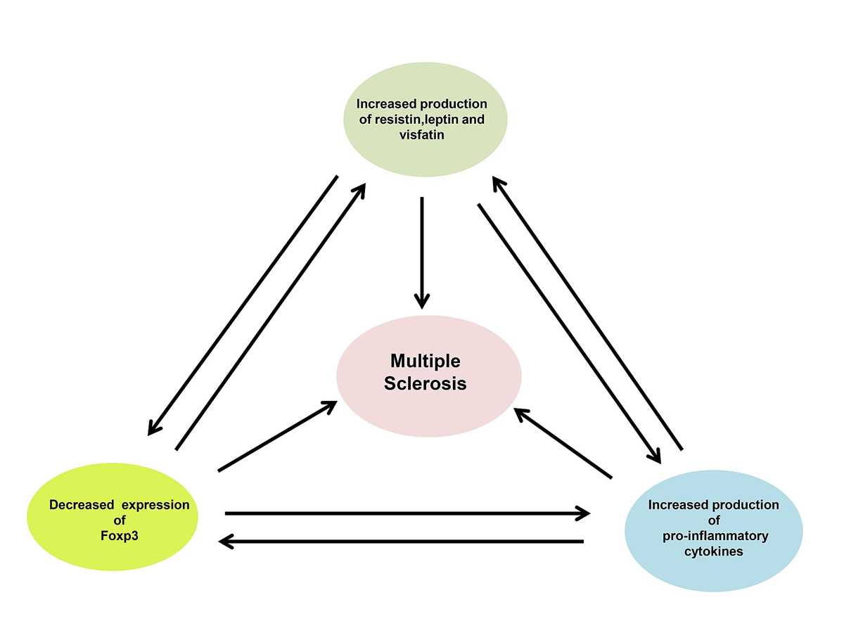 inflammatory process schematic diagram