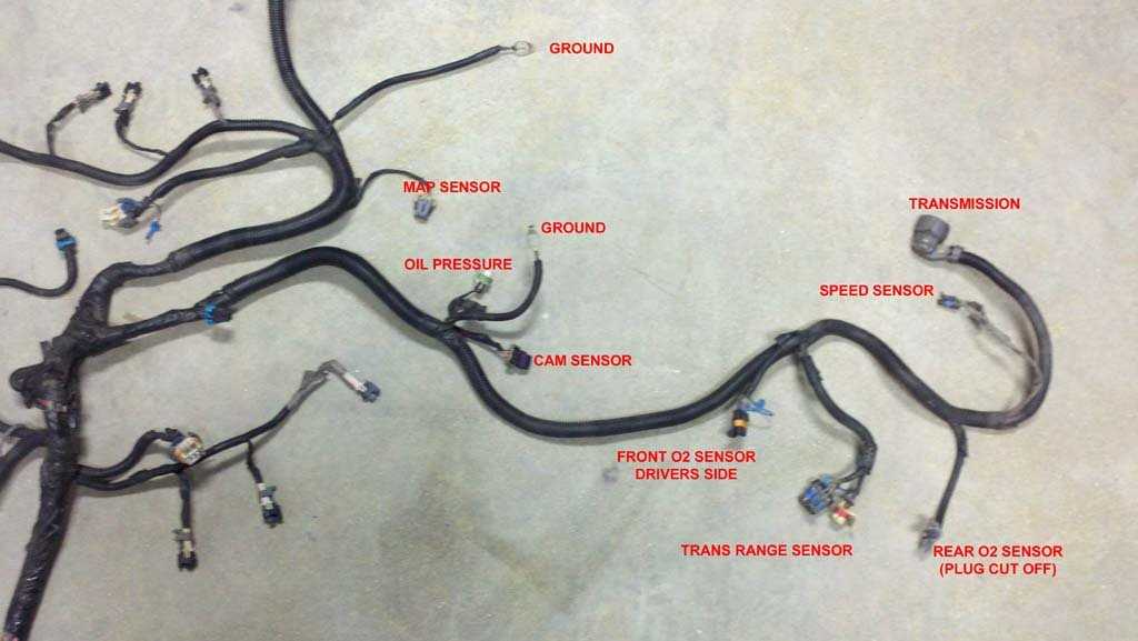 ls swap wiring harness diagram