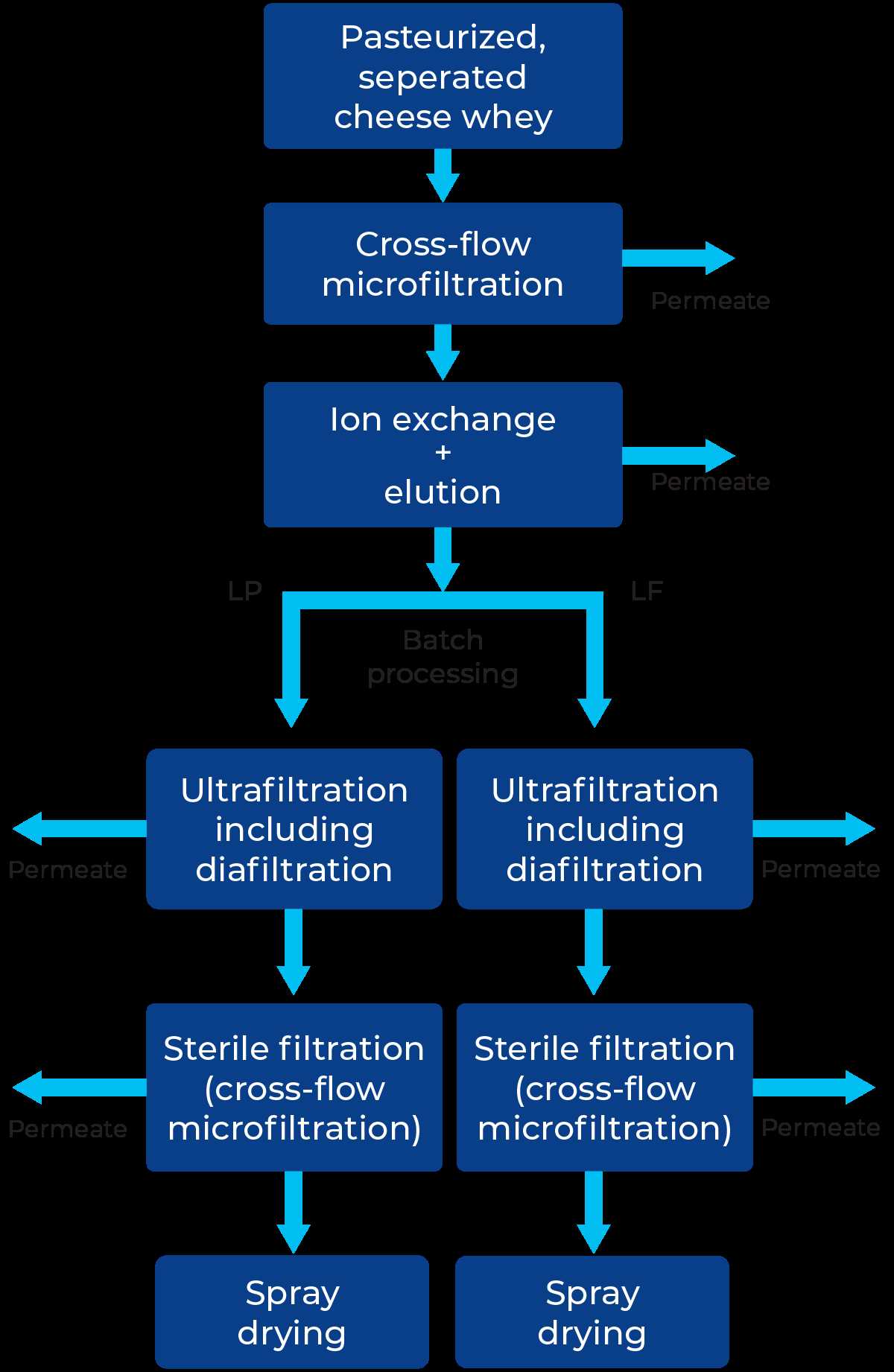 milk protein schematic diagram milk protein schematic diagram