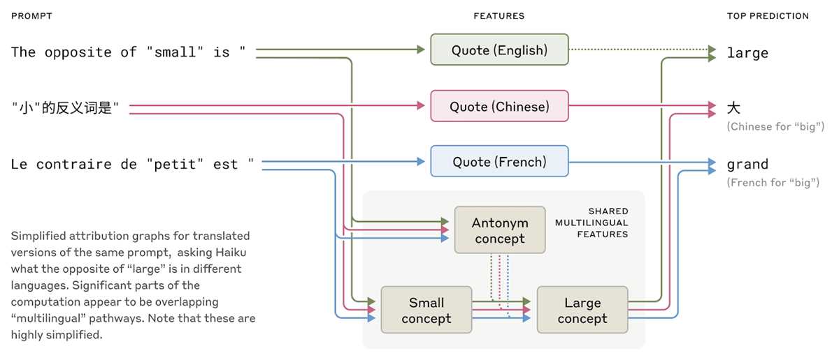schematic diagram antonym