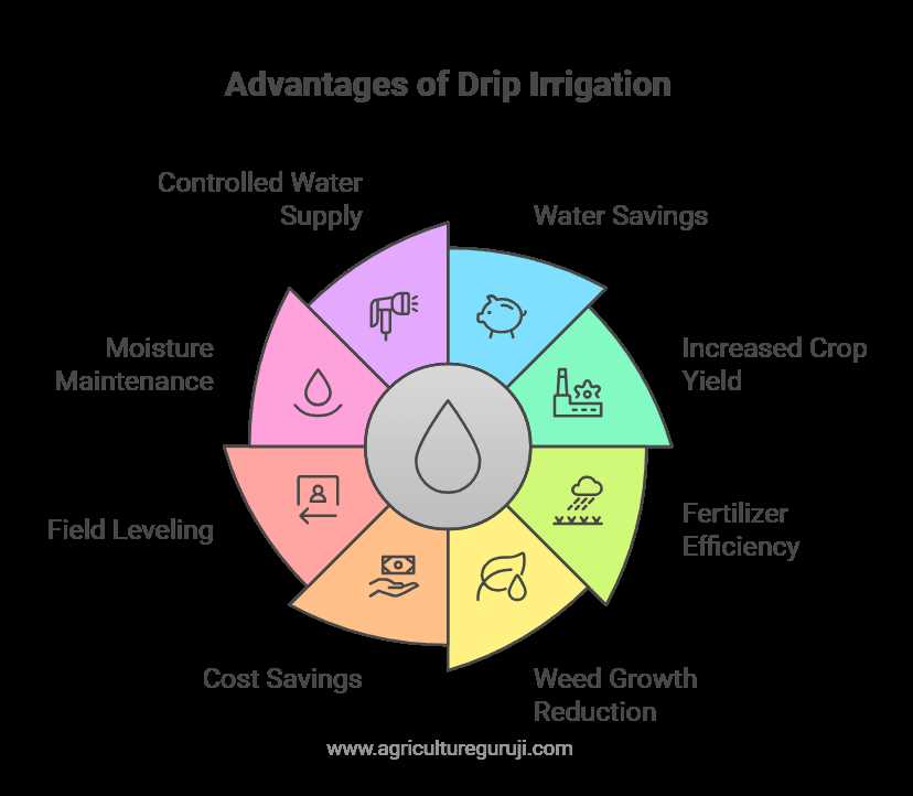 schematic diagram for a small drip irrigation project for tamilnadu