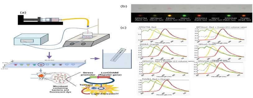 schematic diagram of biosensor