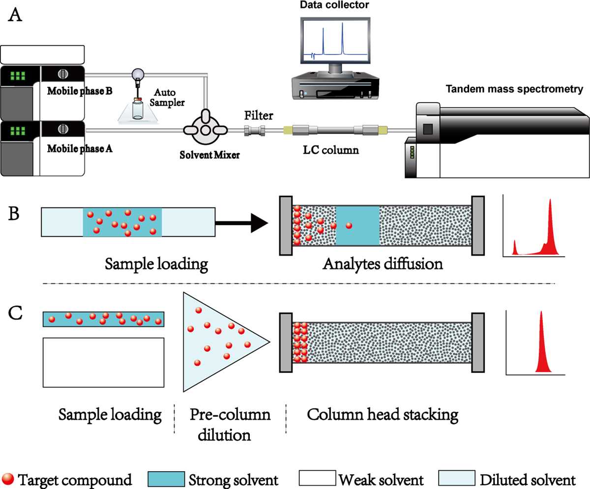 schematic diagram of high performance liquid chromatography