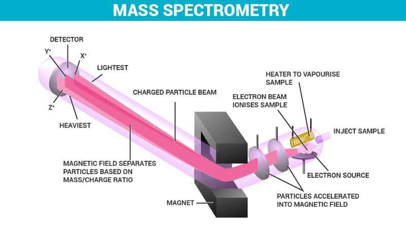 schematic diagram of mass spectrophotometer