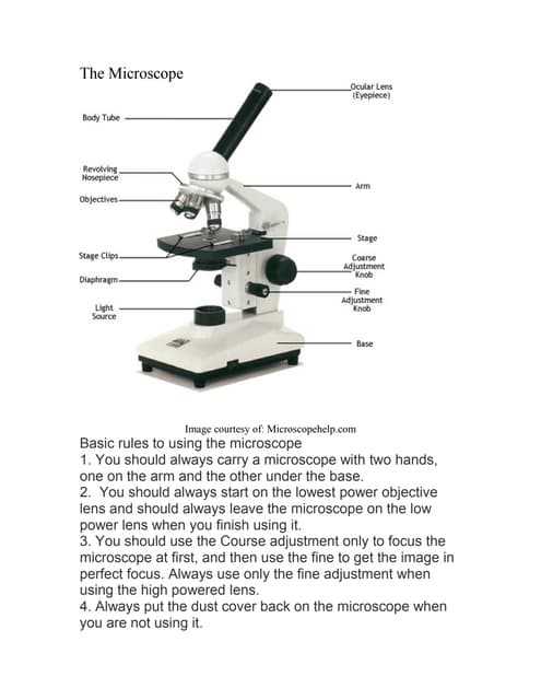 schematic diagram of microscope