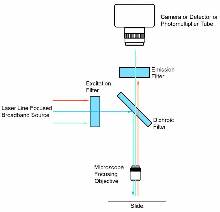 schematic diagram of microscope