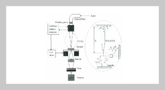 schematic diagram of optical microscope schematic diagram of optical microscope