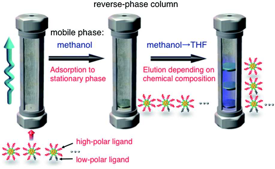 schematic diagram of reversed phase hplc