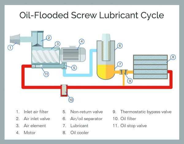 schematic diagram of rotary screw compressor
