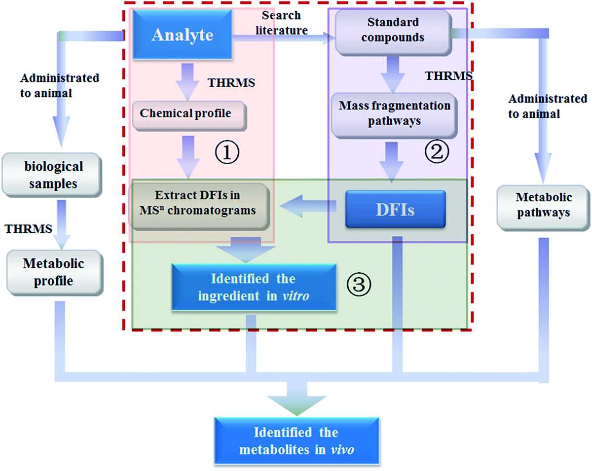 schematic diagram of tandem mass spectrometry schematic diagram of tandem mass spectrometry