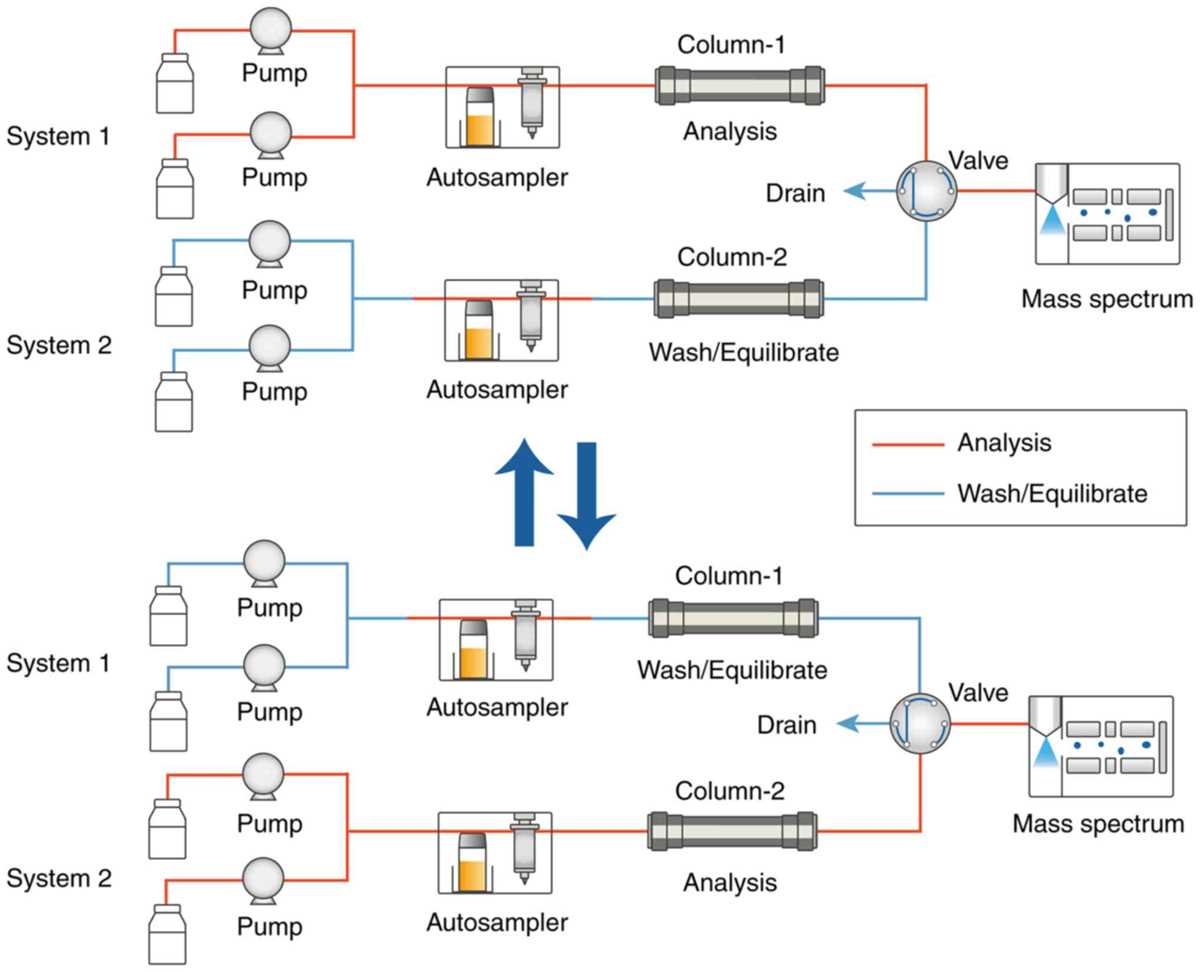 schematic diagram of tandem mass spectrometry schematic diagram of tandem mass spectrometry