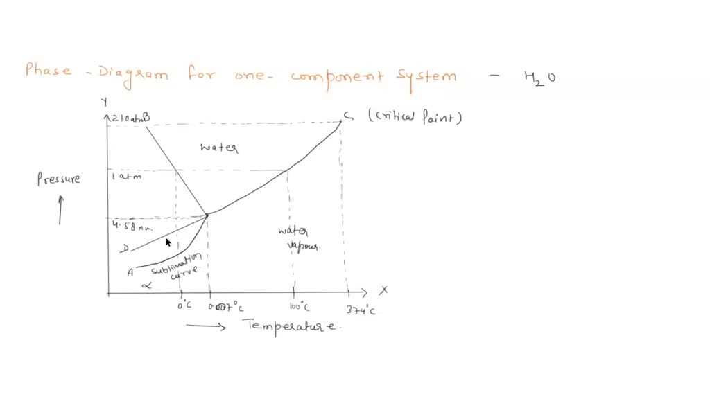 schematic phase diagram