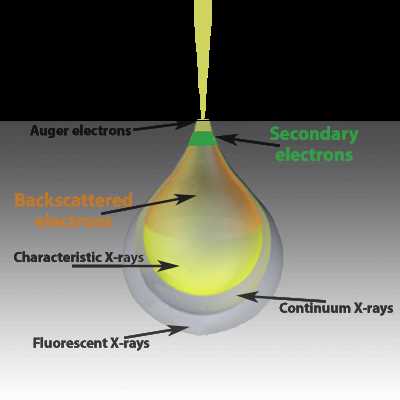 sem schematic column diagram
