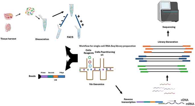 single cell schematic diagram