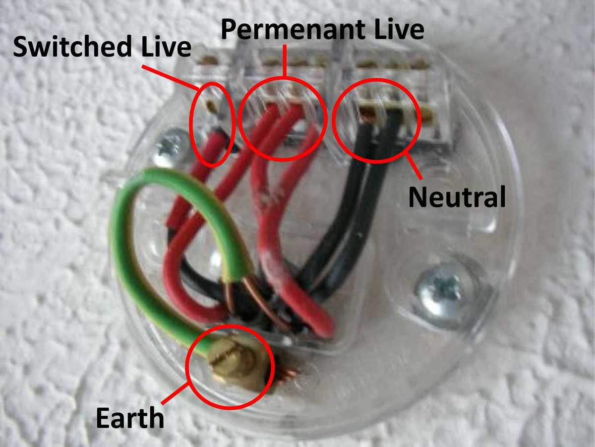 wiring diagram of a ceiling fan