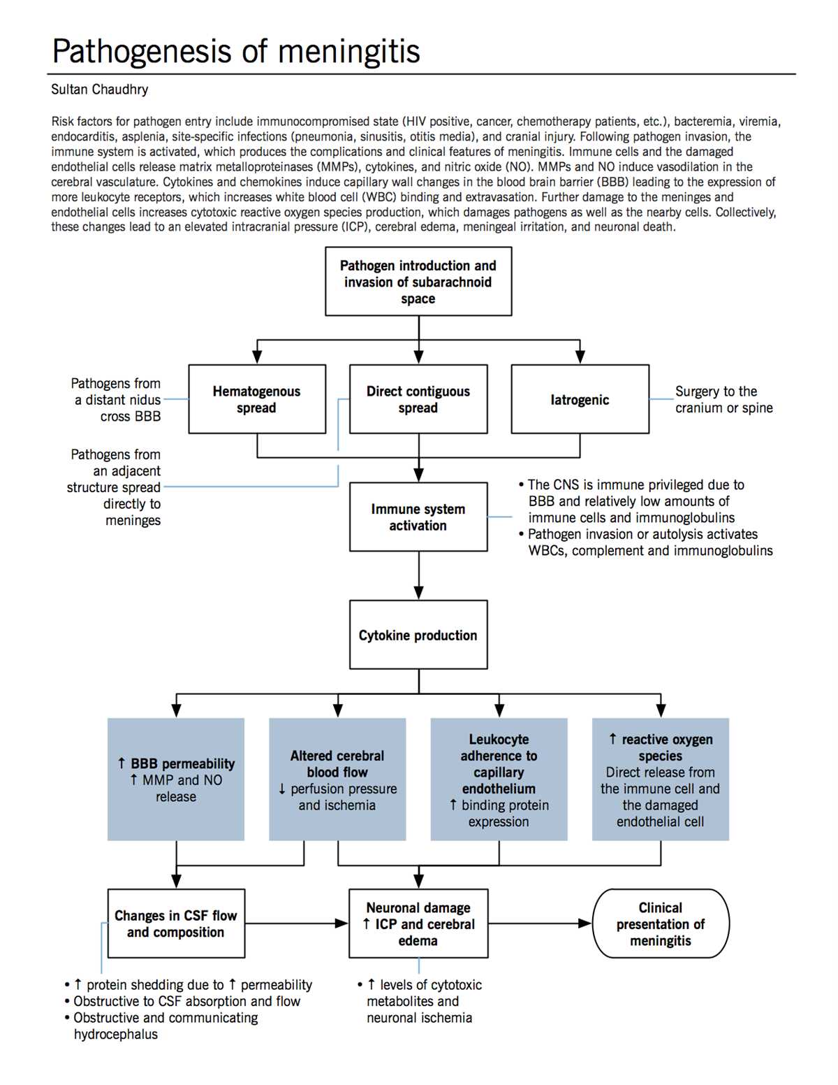 pathophysiology of meningitis schematic diagram