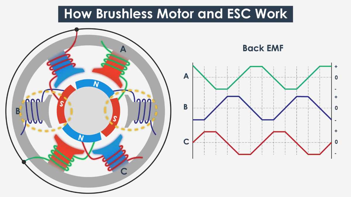 brushless motor esc wiring diagram