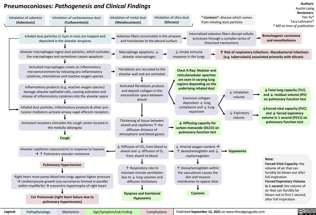 cor pulmonale pathophysiology schematic diagram