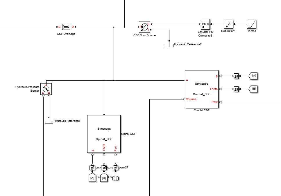 csf pathway schematic diagram