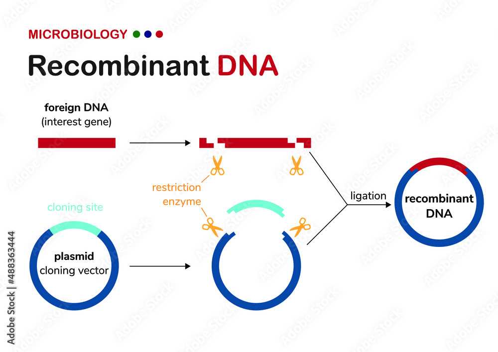 schematic diagram of recombinant dna technology