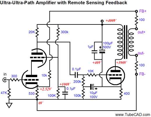 positive feedback loops schematic diagram