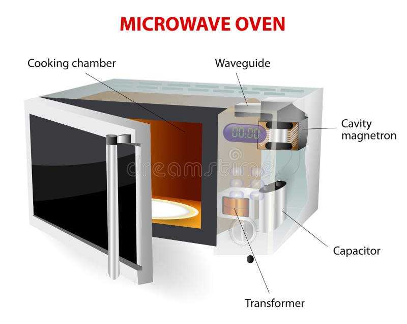 schematic diagram of microwave oven