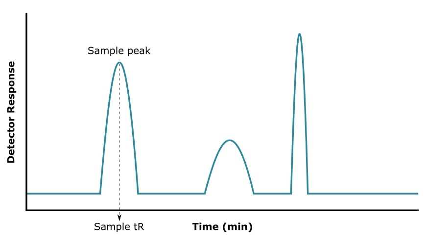 draw a schematic diagram of a gas chromatography