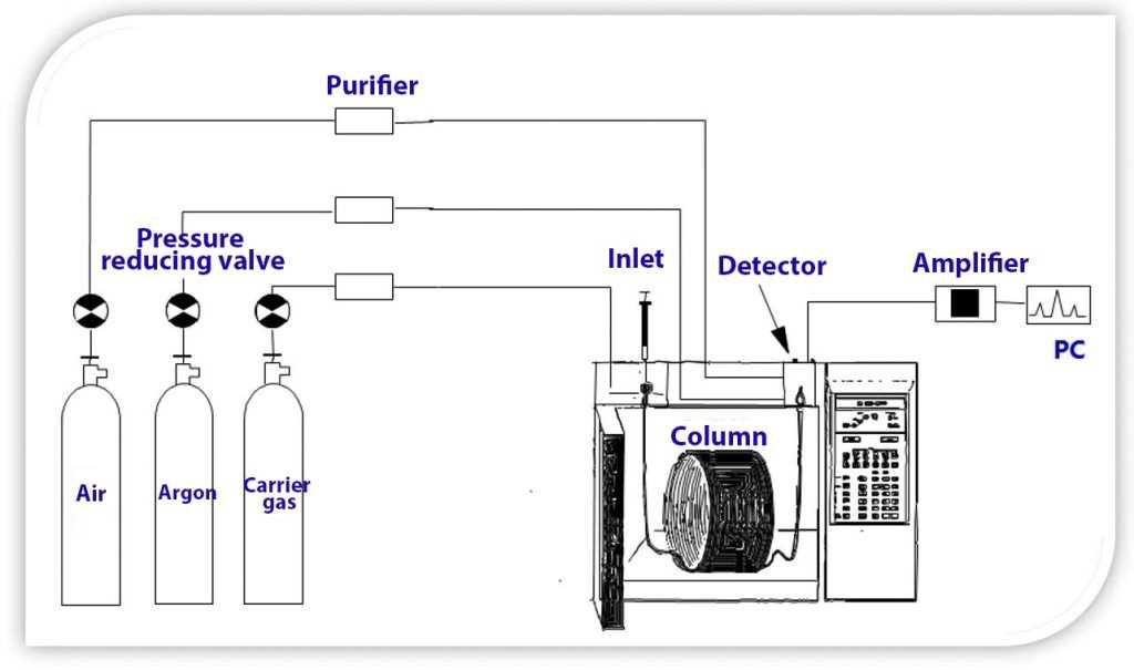 draw a schematic diagram of a gas chromatography