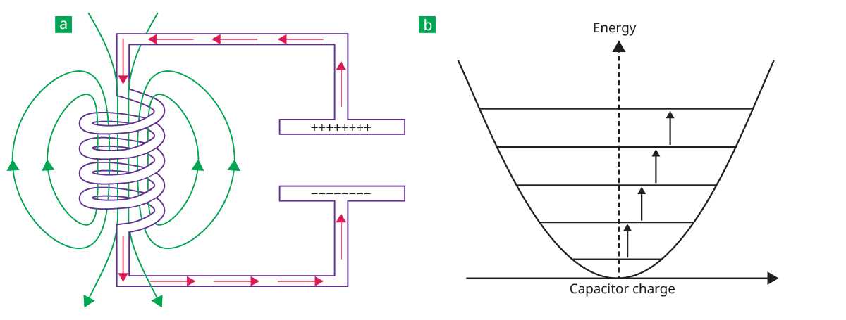quantum q6 edge wiring diagram