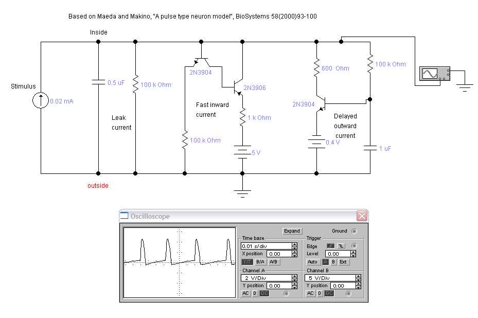 neural circuit diagram