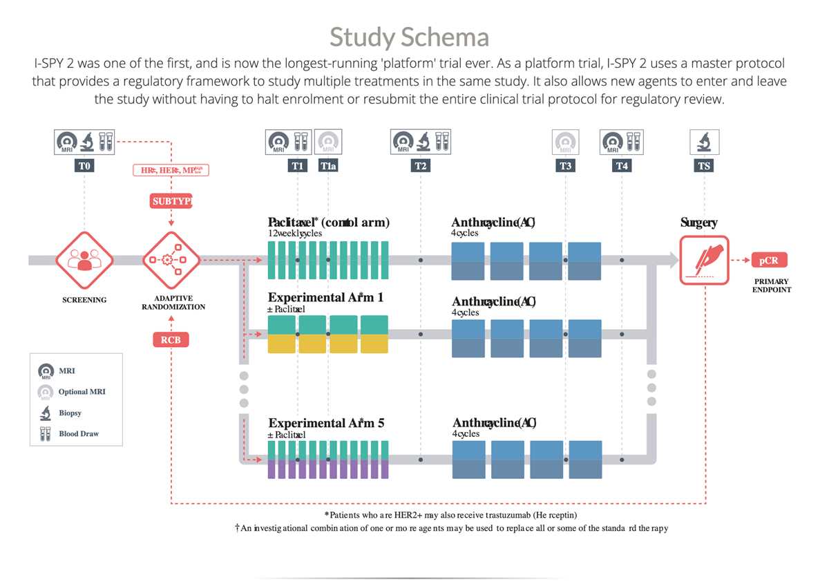 how to create a schematic diagram of the trial design